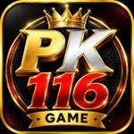 PK117 Game