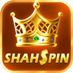 ShahSpinGame